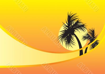 yellow background with palm trees