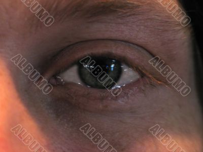 male`s eye