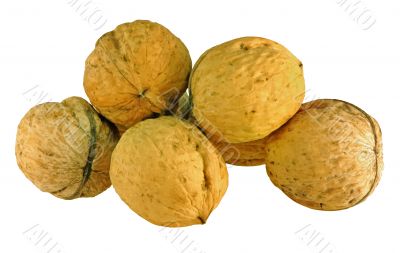 Walnuts in closeup
