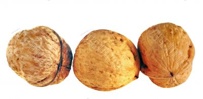 Walnuts in closeup