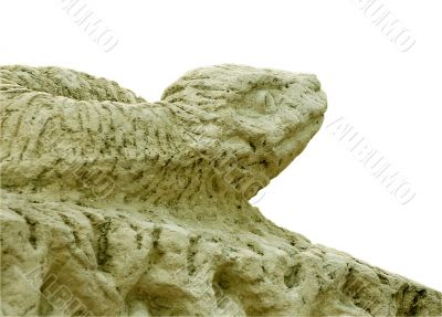 head of snake