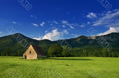 rural landscape