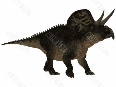 Zuniceratops