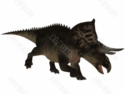 Zuniceratops