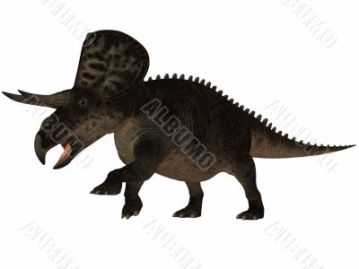 Zuniceratops