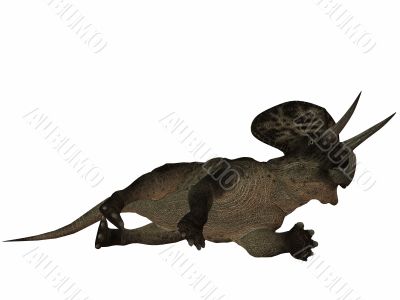 Zuniceratops