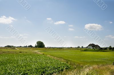 Dutch landscape