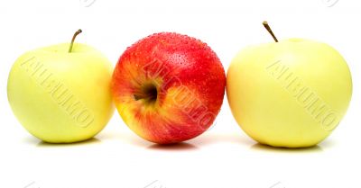 Red and yellow apples