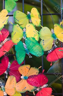 Butterflies