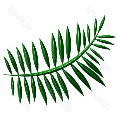 3D Fern