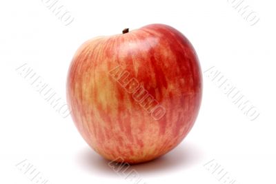 Red apple