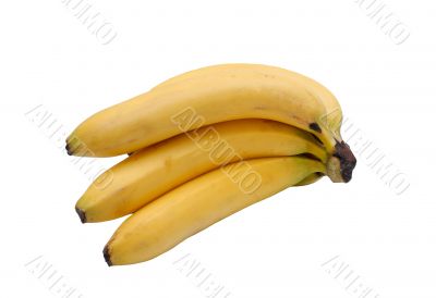 Yellow bananas