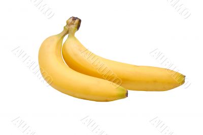 Yellow bananas