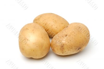 Potato