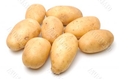 Potatos