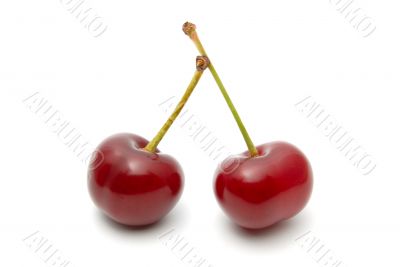 Cherry