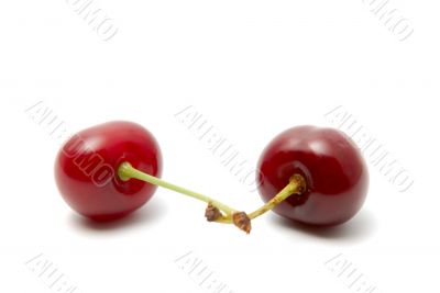 Cherry