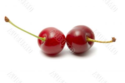 Cherry