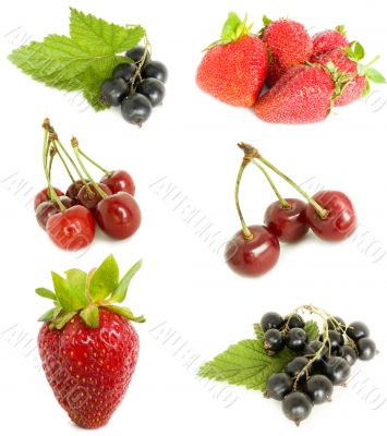 mixed fruit