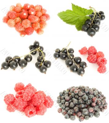 fruit  mixed