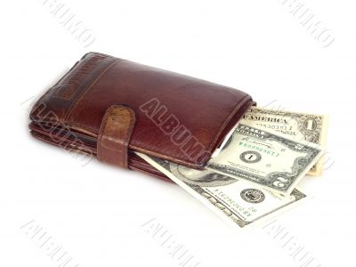 dollars and wallet