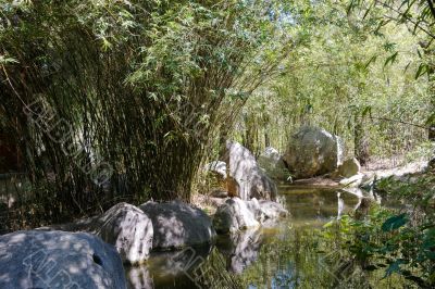 Water and Bamboo