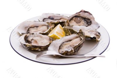 Oysters, Lemon and Fork