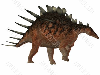 Kentrosaurus