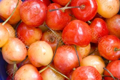 sweet red cherry background