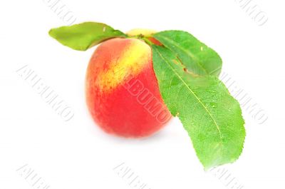 Peach