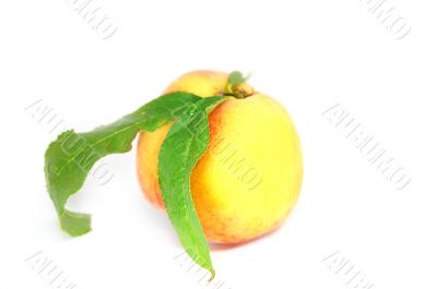 Peach