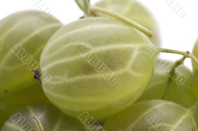 gooseberries close up