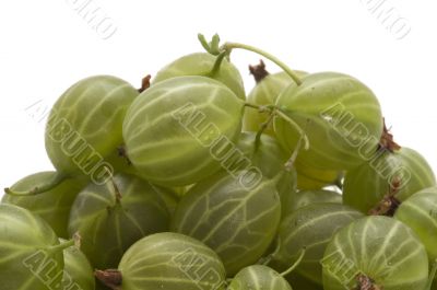 gooseberries macro