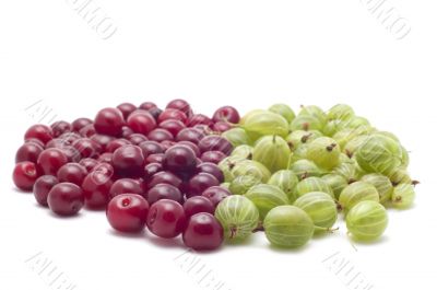 gooseberries with cherries on white