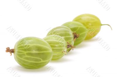 gooseberries