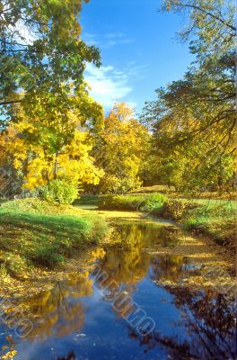 Brightness of autumn colors