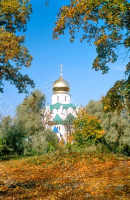 Cathedral and red autumn leaves