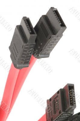SATA cable red closeup