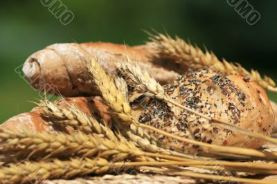 Pastry and corn