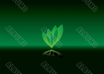 leaf background