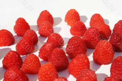 Group of raspberries