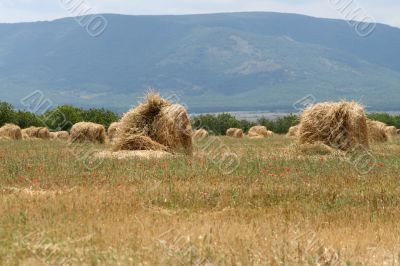 Ricks of straw