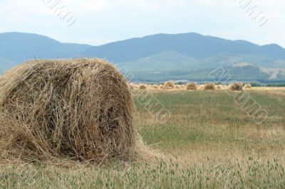 Ricks of straw
