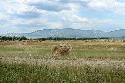 Rick of straw