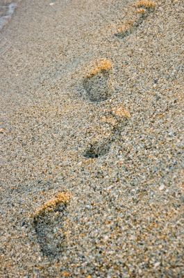 footprints