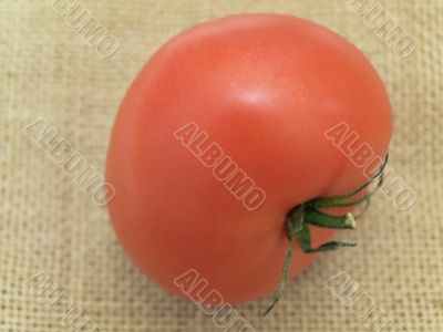 tomato