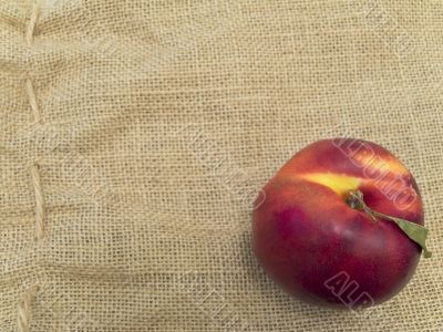 nectarine