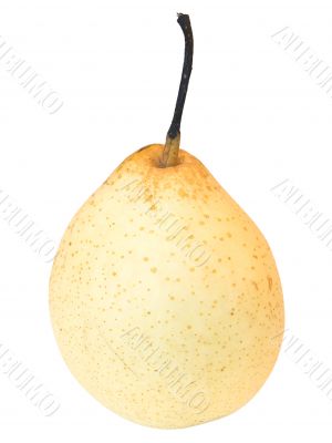 isolated pear