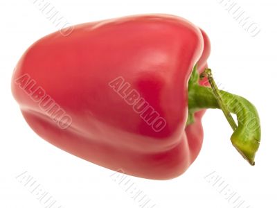 paprika