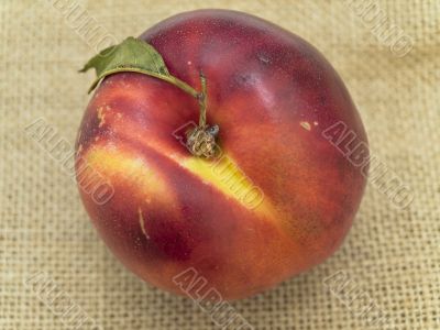 nectarine